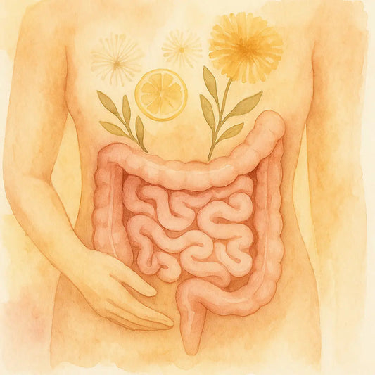 Protocolo-Integral-para-la-Salud-Intestinal Nootrópicos Perú